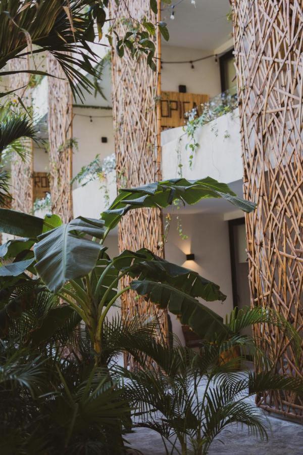 Apartment Jade